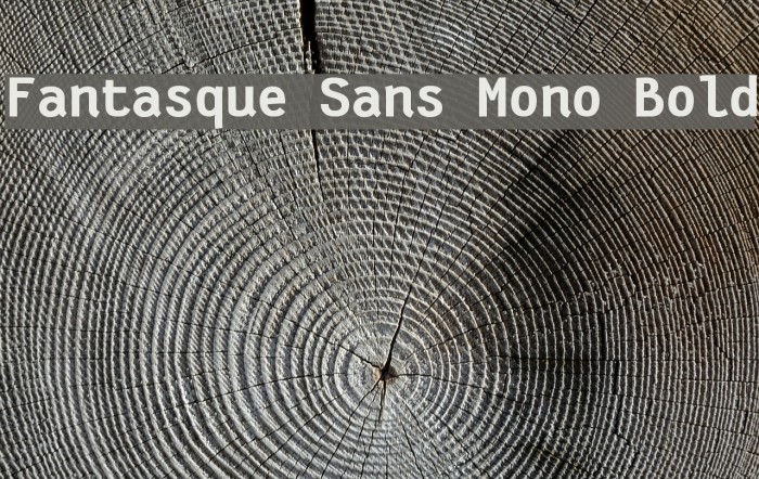 Fantasque Sans Mono Bold Schriftart examples