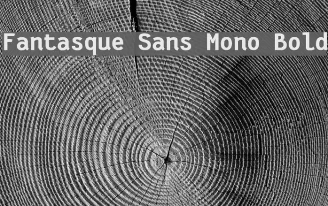 Fantasque Sans Mono Bold Font examples