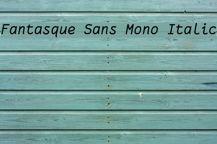 Fantasque Sans Mono Italic Font examples