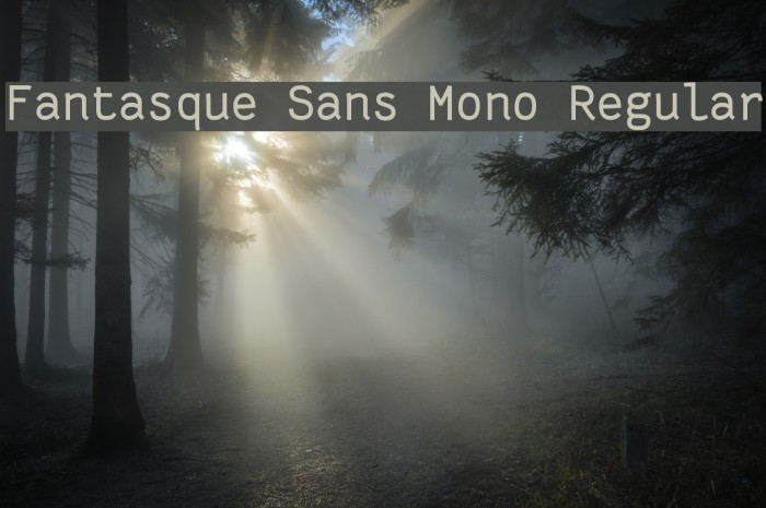 Fantasque Sans Mono Regular Font examples