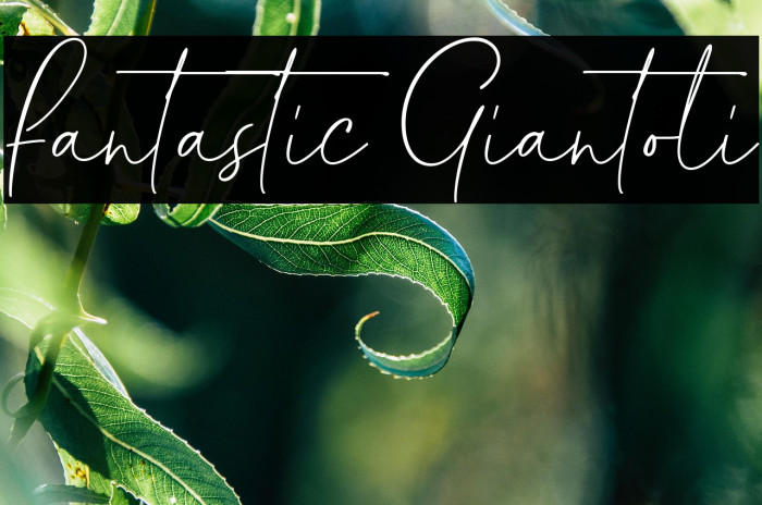 Fantastic Giantoli Example 2