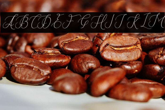 Fantastic-Italic Example 3