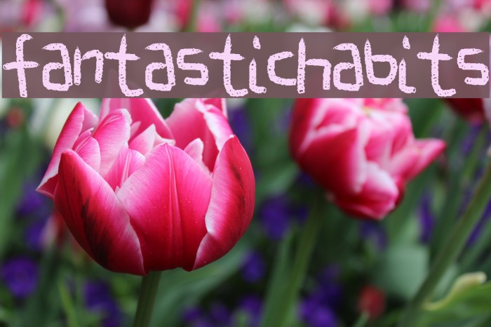 FantasticHabits フォント examples