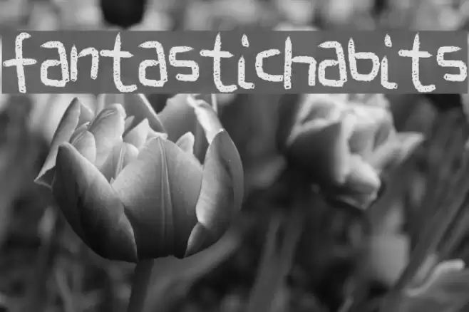 FantasticHabits フォント examples