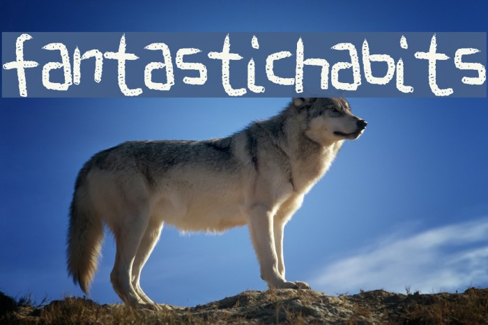 FantasticHabits フォント examples