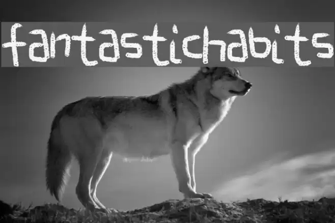 FantasticHabits フォント examples