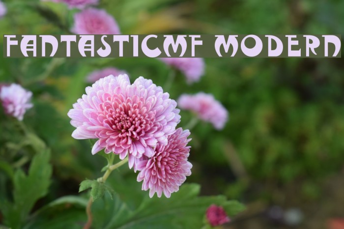 FantasticMF Modern Font examples