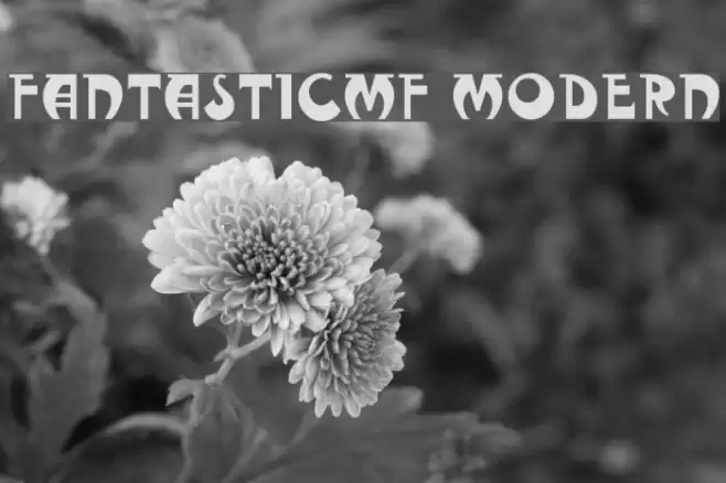 FantasticMF Modern خط examples