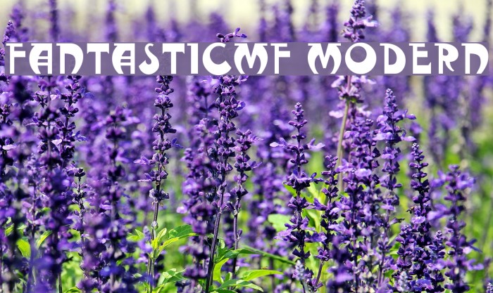 FantasticMF Modern Font examples