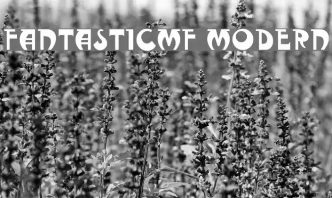 FantasticMF Modern خط examples