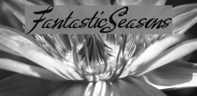 FantasticSeasons Font examples