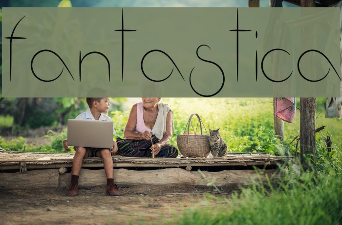 Fantastica Example 3