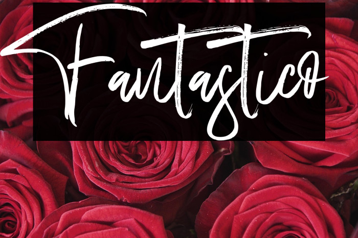 Fantastico Example 1