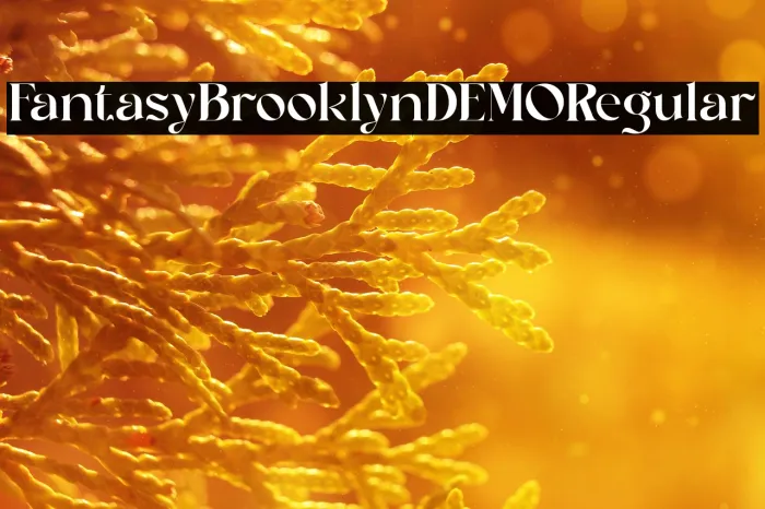 Fantasy BrooklynDEMO Regular Example 2