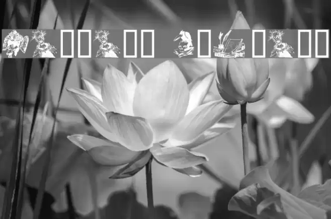 Fantasy Clipart Font examples