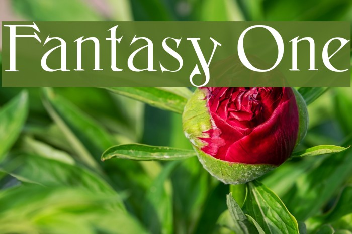 Fantasy One Font examples