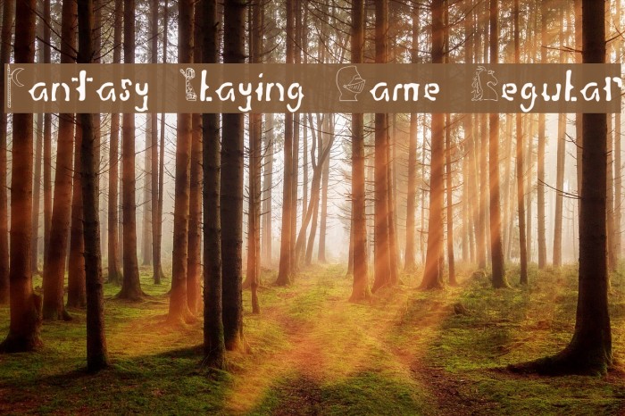 Fantasy Playing Game Regular Font examples