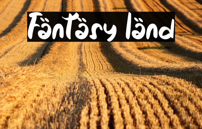 Fantasy land Example 1