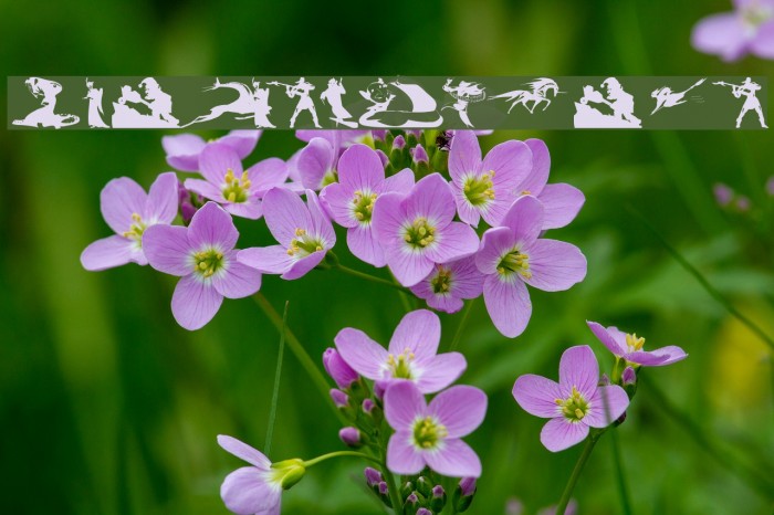 FantasyBeings Example 3