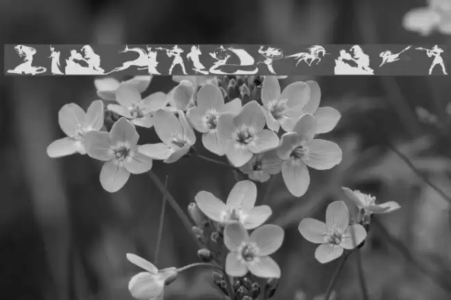 FantasyBeings Font examples