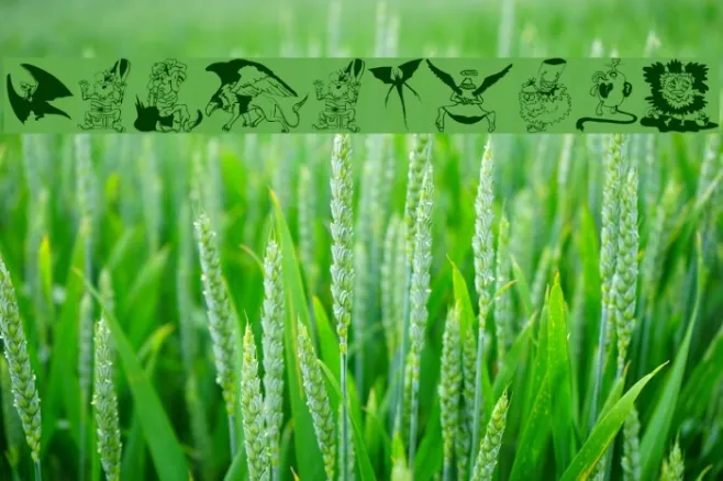 FantasyPix Example 1
