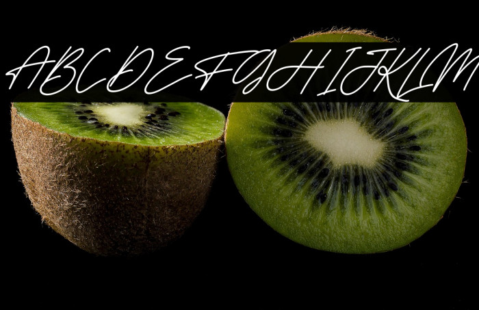 Fantelina Mignati Italic Example 2