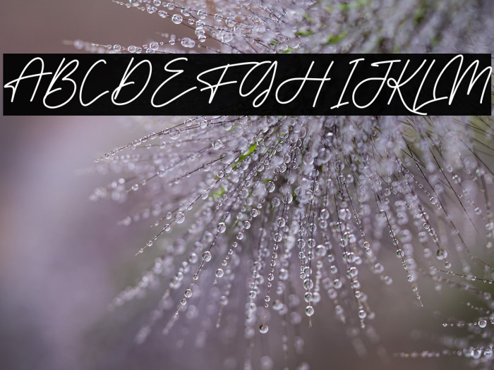 Fantelina Mignati Example 1