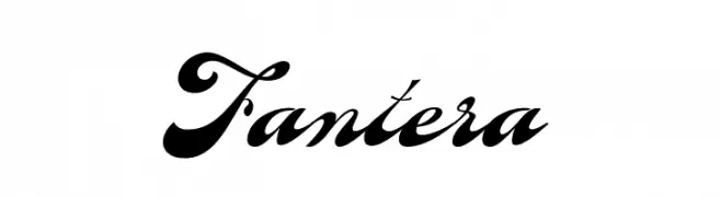 Fantera  Free Fonts Download
