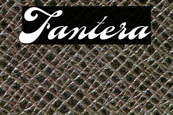 Fantera Example 1