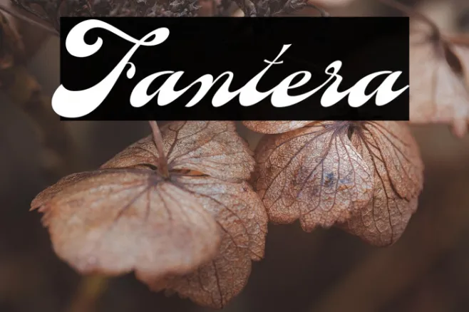 Fantera Example 3