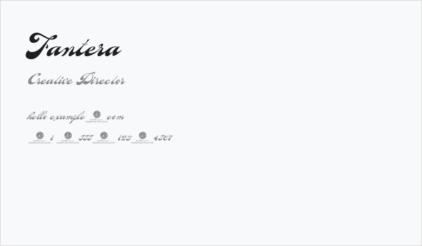 Fantera Business Card