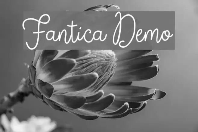 Fantica Demo फ़ॉन्ट examples