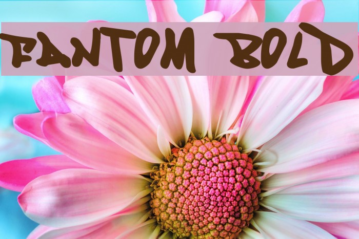 Fantom Bold Font examples