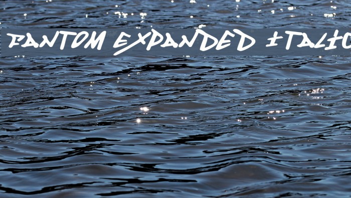 Fantom Expanded Italic Font examples