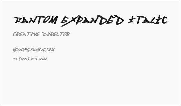 Fantom Expanded Italic Business Card
