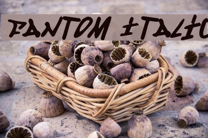Fantom Italic Font examples