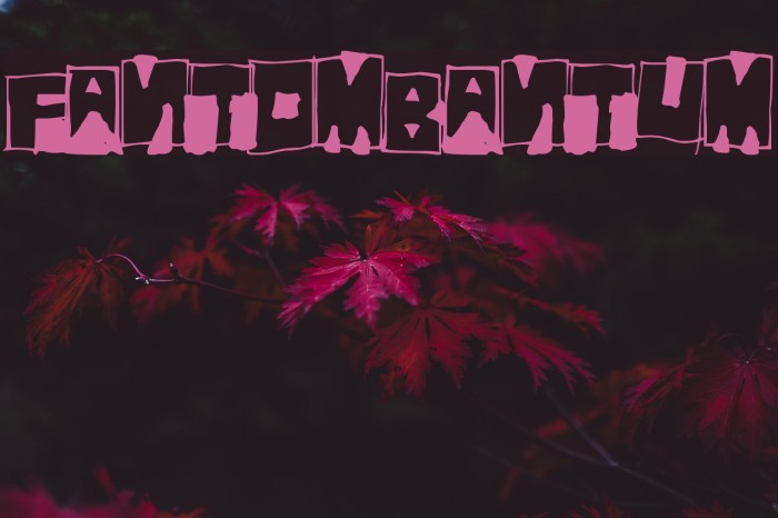FantomBantum Font examples