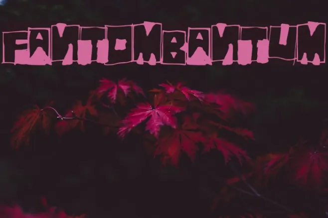 FantomBantum Example 1