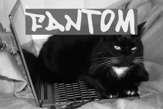 Fantom Font examples