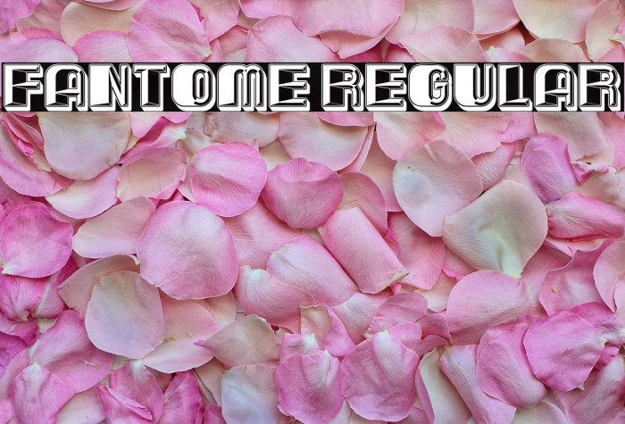 Fantome Regular Example 3