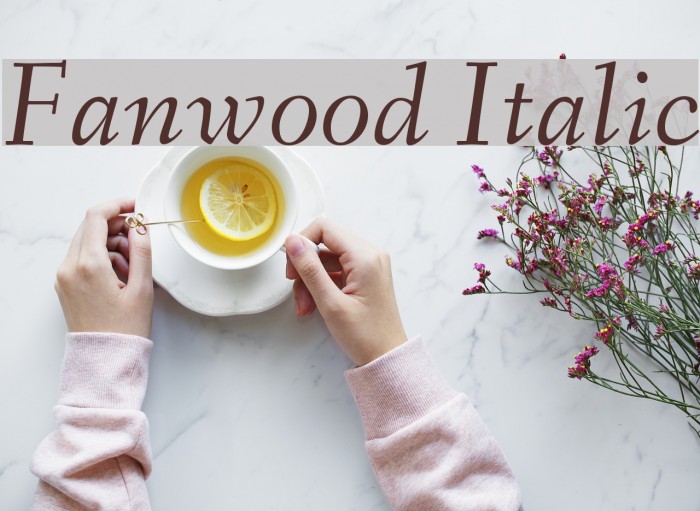 Fanwood Italic Font examples