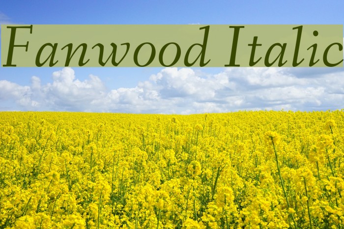 Fanwood Italic Font examples