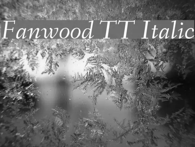 Fanwood TT Italic Font examples
