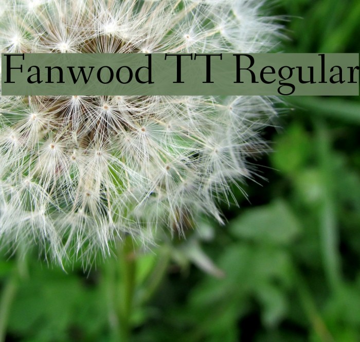 Fanwood TT Regular Example 1