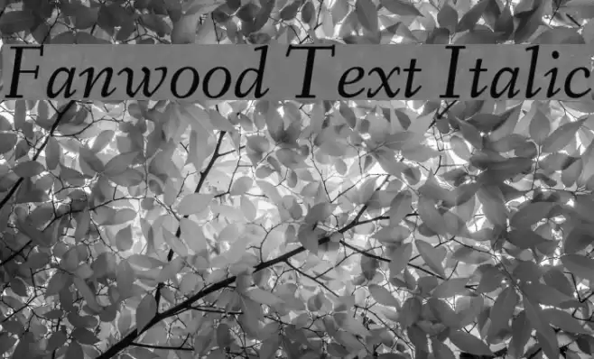 Fanwood Text Italic Font examples