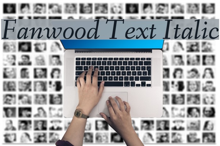 Fanwood Text Italic Font examples
