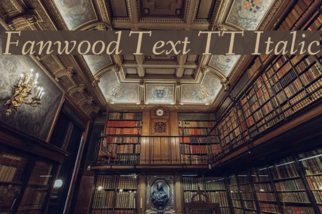 Fanwood Text TT Italic Example 1