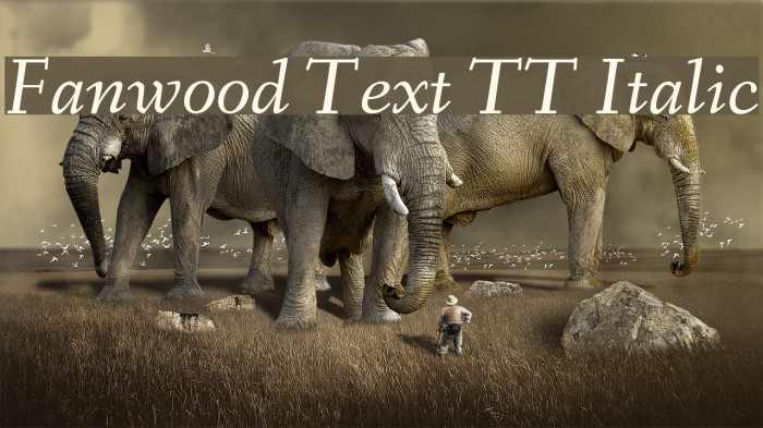 Fanwood Text TT Italic Font examples