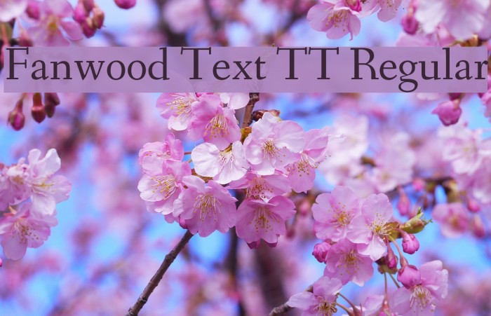 Fanwood Text TT Regular Font examples
