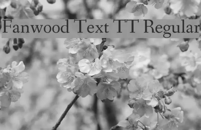 Fanwood Text TT Regular Font examples